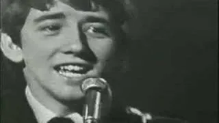 The Hollies - Pegasus