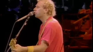 Jimmy Buffett - Cheeseburger In Paradise (Live)