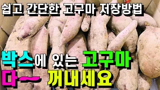 쉽고 간단한 고구마 저장법과 요리💚고구마 꿀맛 그대로 1년 먹는 꿀팁/박스에 있는 고구마 다 꺼내세요