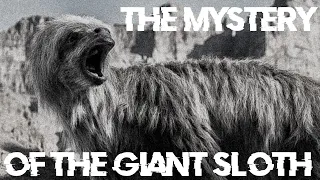 The Mystery Of The Giant Sloth