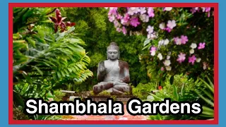 Shambhala Gardens Tour | Crystal Castle - Byron Bay