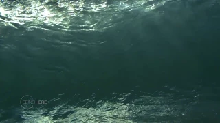 Slow Motion Wave - Incredible Perspective Inside The Barrel - For This Wave