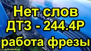 Культивация  ДТЗ 244 4Р Фреза жесть