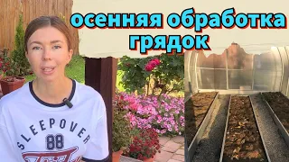 ЧЕМ ОБРАБОТАТЬ ГРЯДКИ ОСЕНЬЮ. ЧТО ВНЕСТИ В ПОЧВУ ПОСЛЕ УБОРКИ УРОЖАЯ