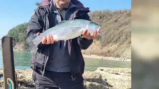 Лов форели в Черном море. Бомбарда