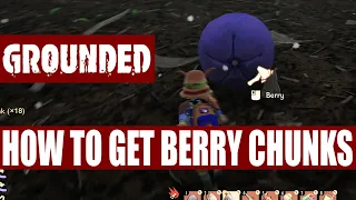 How to get BERRY CHUNKS for BERRY LEATHER! BERRY CHUNKS bekommen! ★ GROUNDED Early Access