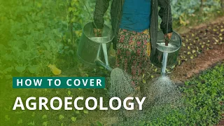 How to Cover Agroecology | Mongabay Webinars