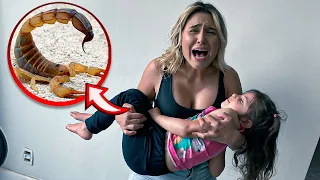 UM ESCORPIÃO PICOU NOSSA FILHA ADOTIVA!! *TIVE QUE IR PARA EMERGÊNCIA*