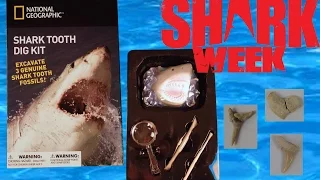 Shark Week!  Shark Tooth Dig by National Geographic