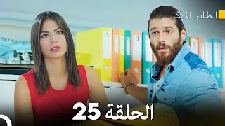 مسلسل الطائر المبكر الحلقة 25 (Arabic Dubbed)