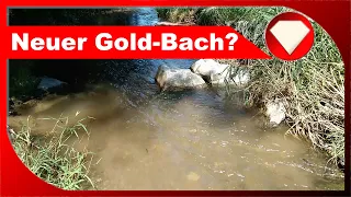 Neuer Gold-Bach? - unbekannten Zulauf prospektieren - Hobby Goldwaschen - absolut abenteuerlich