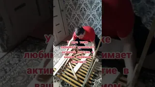 Я довольна...А вы???