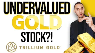 Why Should You Be Watching Trillium Gold Now? (Deeply Undervalued Gold Stock)