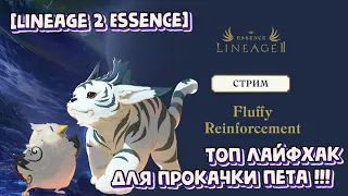 [Lineage 2 Essence] Топ лайфхак для прокачки питомца !!!