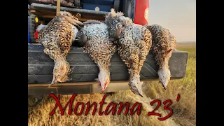 Montana Sharptail Opener 23 (bonus catch and cook)