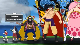 One Piece Characters Actual Size Comparison Animated