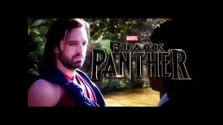 Black Panther End Credit Scene with Bucky Barnes,White Wolf  full HD