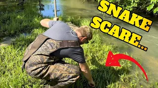 Dangerous Snake scares Mudlarker searching for River Treasure and Valuable Antiques!
