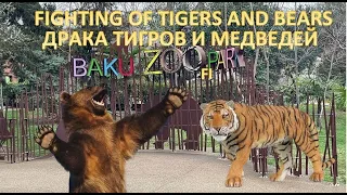 BAKU ZOOLOGICAL PARK WALKING VIDEO / БАКИНСКИЙ ЗООПАРК (ВИДЕО ПРОГУЛКА)