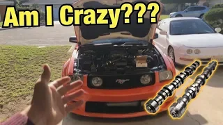 Mustang With 20+Psi Of Boost Is Just Too Wild!!! (New Mods Installed)