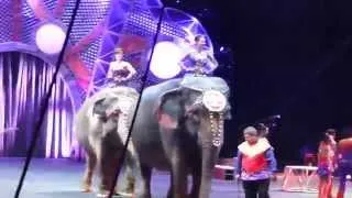 Ringling Brothers and Barnum & Bailey "Built to Amaze"  Elephant Act.