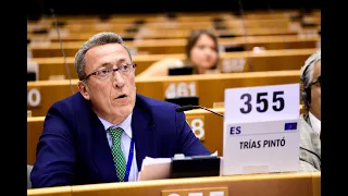 June 2019-EESC Plenary Session-Carlos Pintó-Strategy for EU greenhouse gas emissions reduction