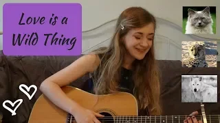 Kacey Musgraves Love is a Wild Thing Cover