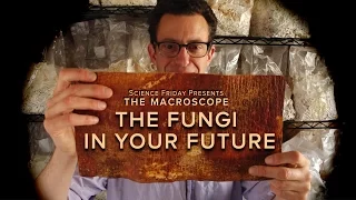 The Fungi in Your Future