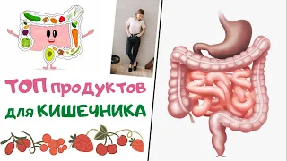 Лучшие продукты для кишечника. Чем кормить микрофлору кишечника