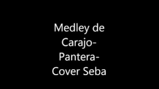 Medley de Carajo- Pantera-Cover seba
