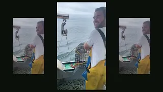 Maine Lobstering. A day fishing out of Kennebunkport on F.V. Calypso. Capt. Nick Nieuwkerk