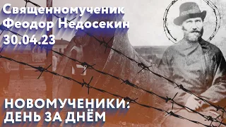 Новомученики: день за днем. Свщмч. Феодор Недосекин. Рассказывает митр. Антоний (Паканич).