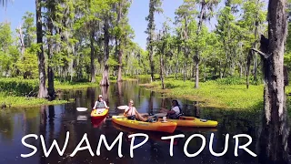 SWAMP TOUR - Manchac Swamp Louisiana