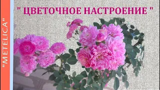 " Цветочное настроение. "   Мои любимые цветы.