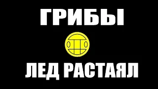 ГРИБЫ - ЛЕД РАСТАЯЛ