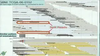 Large-Scale Cancer Genomics Data Analysis - David Haussler