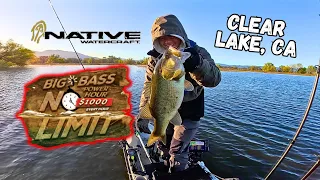 Fishing the 2024 Native Watercraft No Limit Big Bass Tournament! (Clear Lake, CA)