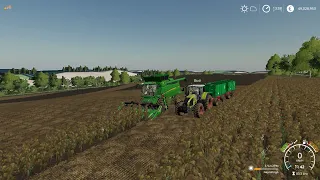 Napraforgó aratás FS19