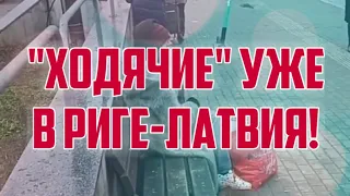 "ХОДЯЧИЕ" УЖЕ В РИГЕ-ЛАТВИЯ! | КРИМИНАЛЬНАЯ ЛАТВИЯ