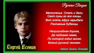 Мелколесье степь и дали — Сергей Есенин —  читает Павел Беседин