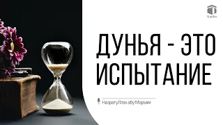 Дунья - это испытание | НазратуЛлах абу Марьям