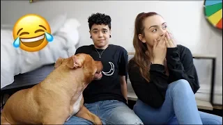 IGNORING OUR DOG PRANK! *HILARIOUS*