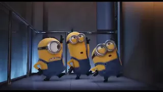 Minions desenho infantil engracado