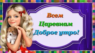 Всем Царевнам Доброе утро! 😊💌🌺🌺🌺. Позитивчик Всем с Утра. Замечательного настроения на весь день! 😘.