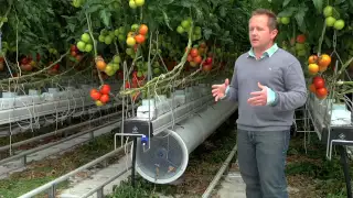 Greenhouse promo video for Nature Fresh Farms Leamington