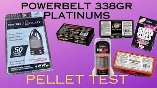 PowerBelt 338gr Platinum Pellet Test
