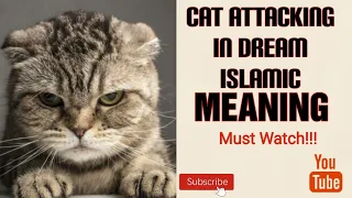 Seeing cat attacking in dream meaning | Islamic dream meaning of cat