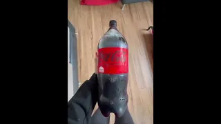 COCA-COLA 😎😁 #shorts #tiktok #funny #funnyvideo #fyp #viral #dog