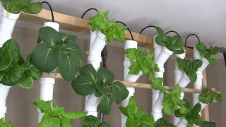 Basement Hydroponic Tower Garden Version 2.0