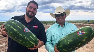 The Texas Bucket List - Luke Brown's Watermelon Farm in Balmorhea